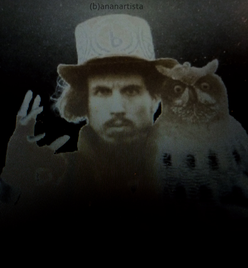 (b)ananartista and the owl