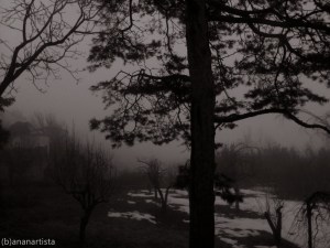 "un posto senza tempo" - (b)ananartista orgasmo Sbuff - digital art