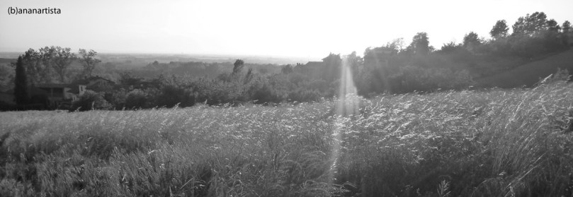 "BELVEDERE 01 meriggio" - (b)ananartista sbuff 2014