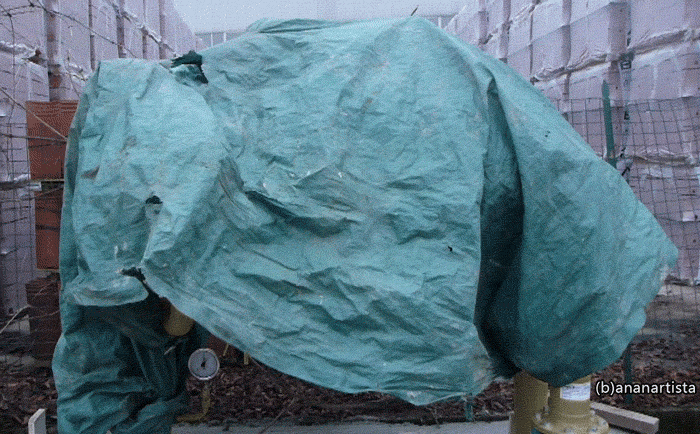 the creepy ghost a horror animation by (b)ananartista orgasmo sbuff