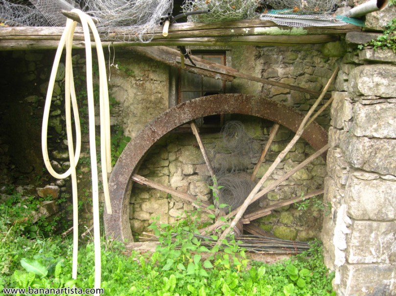 fotografia e arte di (b)ananartista quasar sbuff