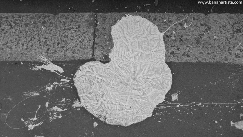 THE WHITE STAIN abstract art minimal photography by (b)ananartista sbuff © 2015 all rights reserved