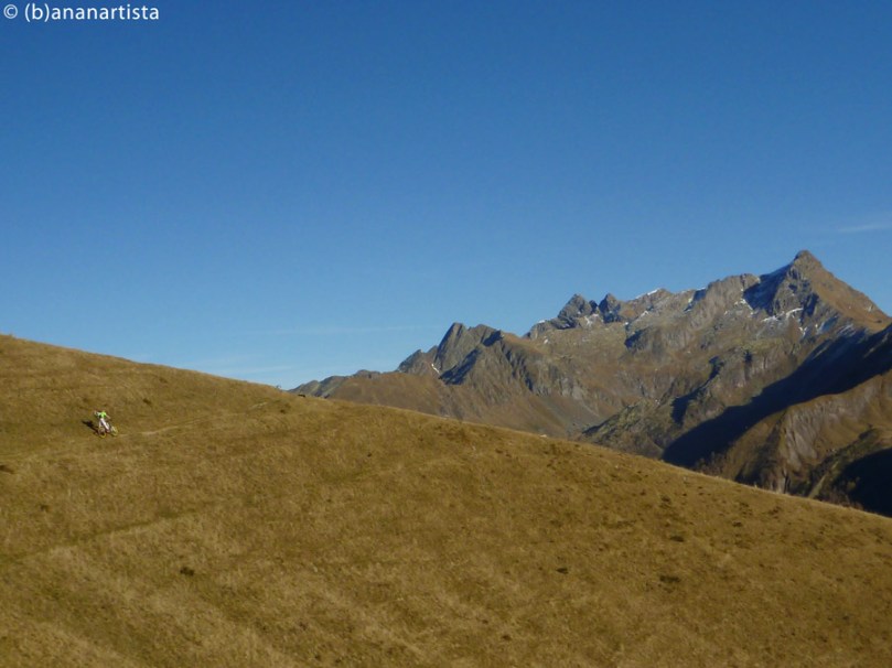 LANDSCAPE IN THE ALPS photography by (b)ananartista sbuff © 2015 all rights reserved