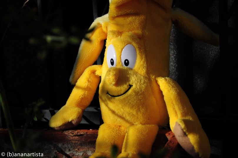 MISTER BANANA photography by (b)ananartista sbuff © 2015 all rights reserved