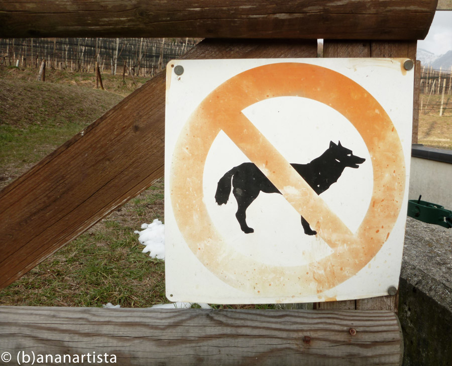 WOLF SIGN photography by (b)ananartista sbuff © 2015 all rights reserved