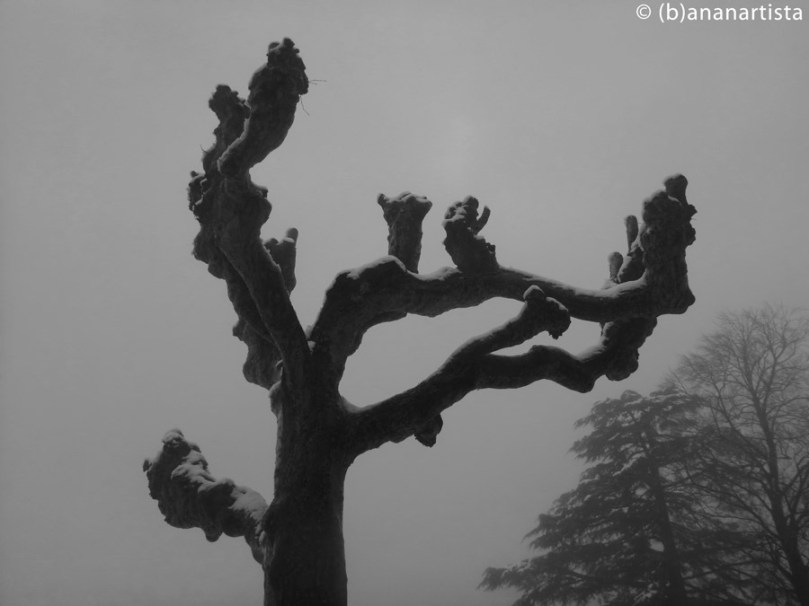 THE LACERATED SOUL OF JACK LONDON photography by (b)ananartista sbuff © 2015 all rights reserved