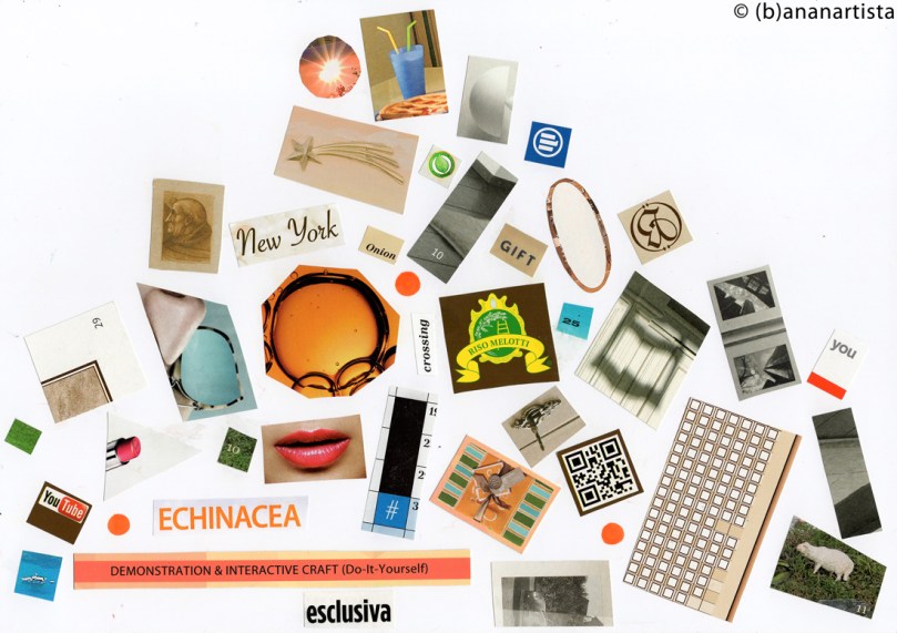 NEW YORK ONION GIFT collage by (b)ananartista sbuff © 2015 all rights reserved