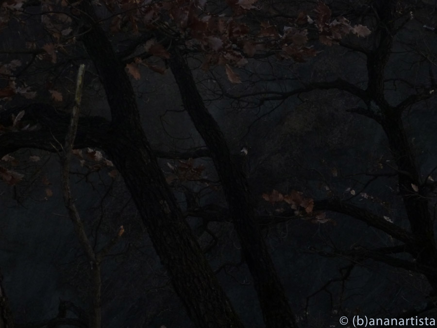 SPANISH SERENADE photography by (b)ananartista sbuff © 2015 all rights reserved