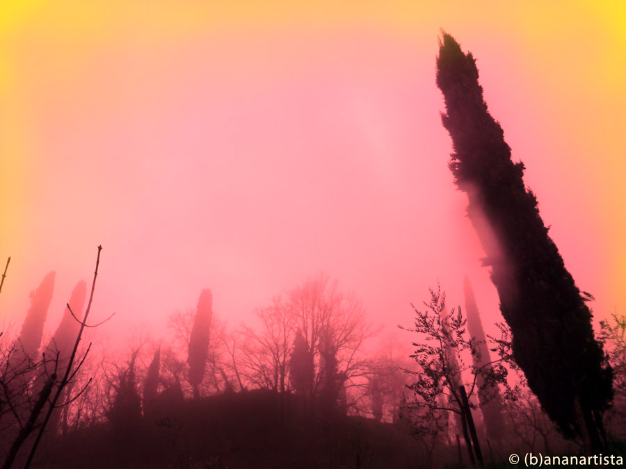 THE BIG TEMPTATION photography by (b)ananartista sbuff © 2015 all rights reserved