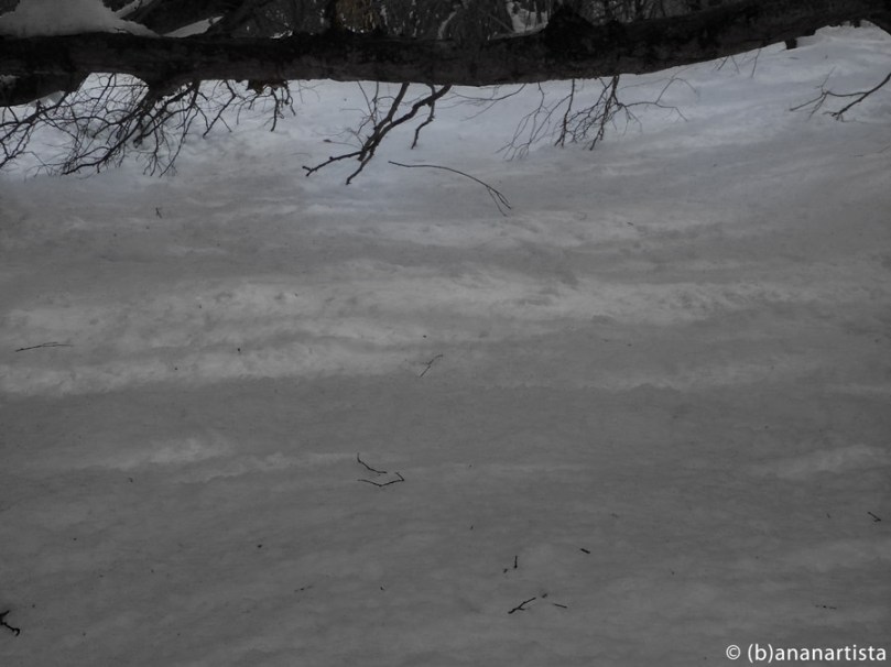 THE LAST PERCEPTION photography by (b)ananartista sbuff © 2015 all rights reserved