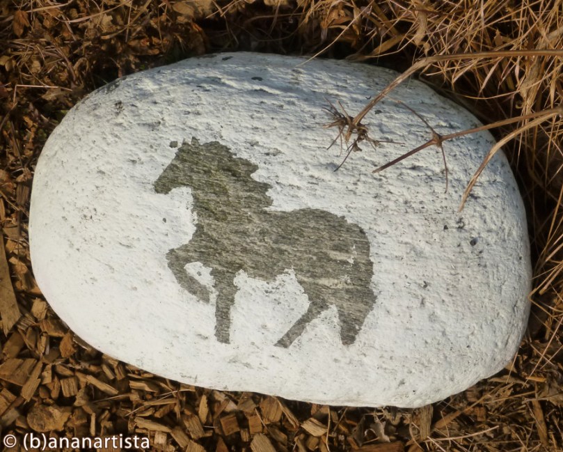 THE LITTLE HORSE photography by (b)ananartista sbuff © 2015 all rights reserved