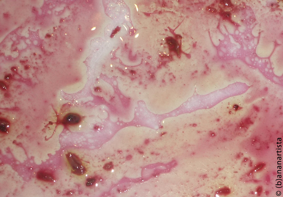 SACRIFICIAL LAMB abstract photography by (b)ananartista sbuff © 2016 all rights reserved