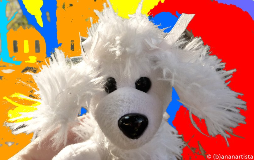 PORTRAIT OF FUZ photography by (b)ananartista sbuff © 2016 all rights reserved