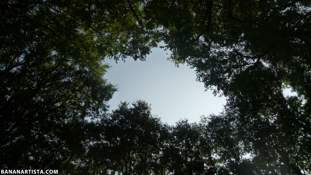 THE SPACESHIP photography by (b)ananartista sbuff © 2015 all rights reserved