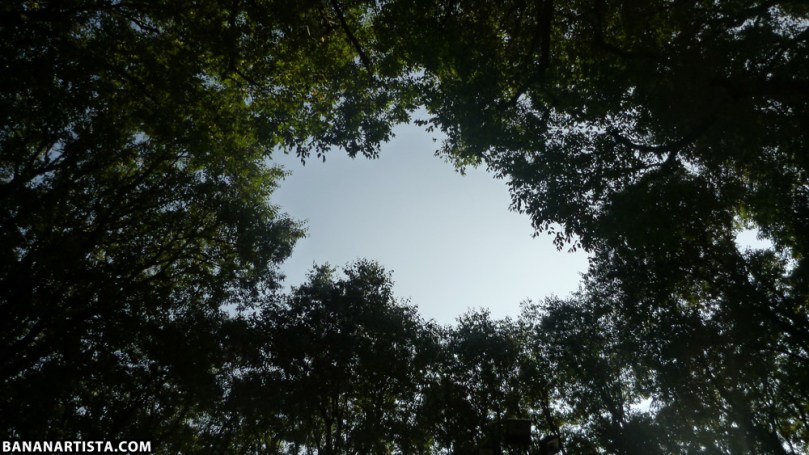 THE SPACESHIP photography by (b)ananartista sbuff © 2015 all rights reserved