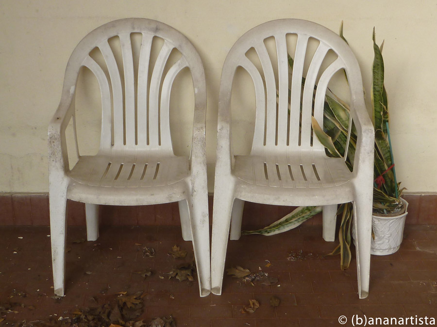 TWO CHAIRS AND THE PLANT photography by (b)ananartista sbuff © 2015 all rights reserved