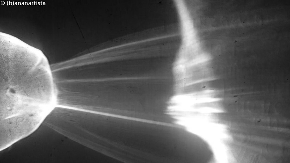 FILAMENTUM abstract photography by (b)ananartista sbuff © 2016 all rights reserved