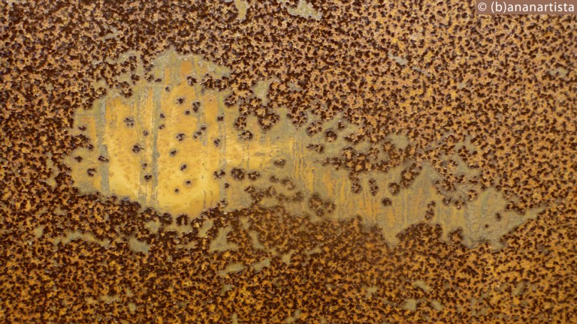 SWARMING abstract photography by (b)ananartista sbuff © 2016 all rights reserved