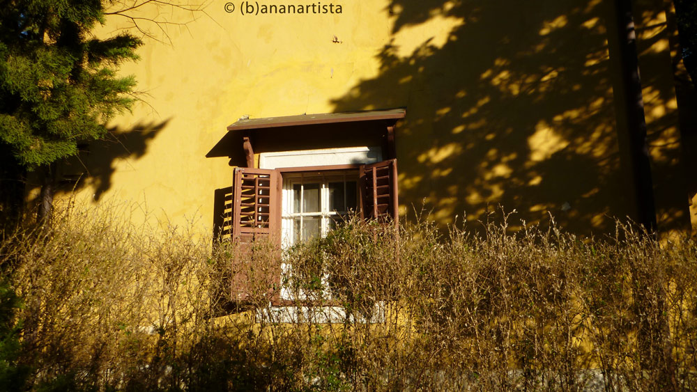 YELLOW AFTERNOON still life photography by (b)ananartista sbuff © 2016 all rights reserved