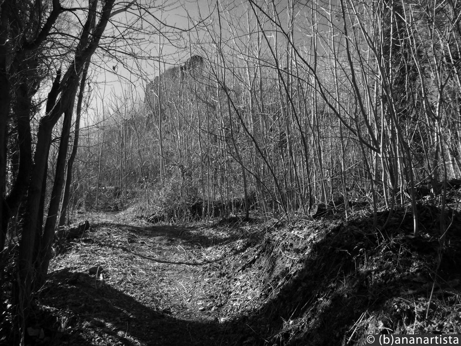 THE INNER SOLUTION still life photography by (b)ananartista sbuff © 2016 all rights reserved