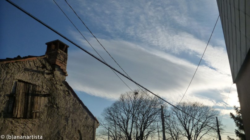 ZEPHYR ZENITH BREEZE still life photography by (b)ananartista sbuff © 2016 all rights reserved