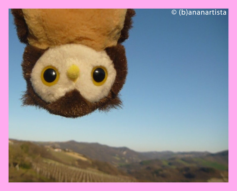 LANDSCAPE WITH OWL photography by (b)ananartista sbuff © 2016 all rights reserved