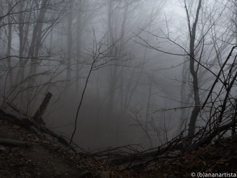 THE SKELETONS OF THE DAMNED nature photography by (b)ananartista sbuff © 2016 all rights reserved