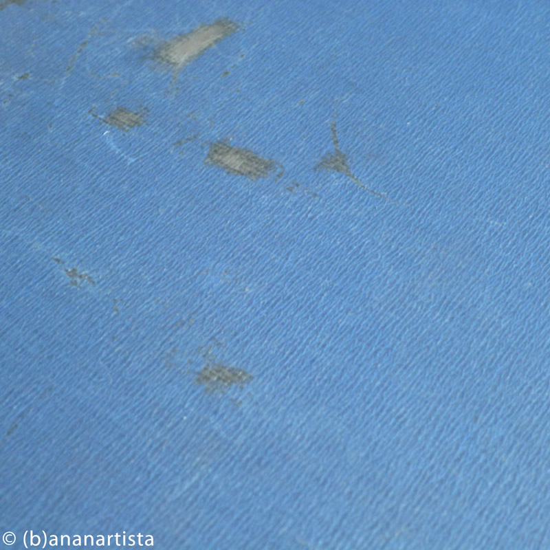 BLUE MIMICRY  animal photography by (b)ananartista sbuff © 2016 all rights reserved