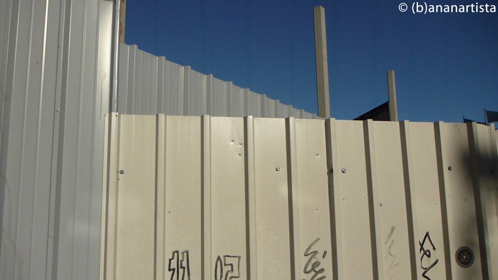 FLORAL COMPOSITION WITH BERRIES nature photography by (b)ananartista sbuff © 2016 all rights reserved