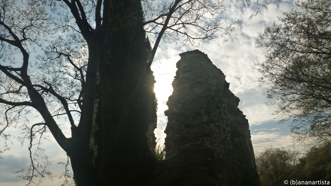 SPECTRAL RUIN HOLLOW nature photography by (b)ananartista sbuff © 2016 all rights reserved