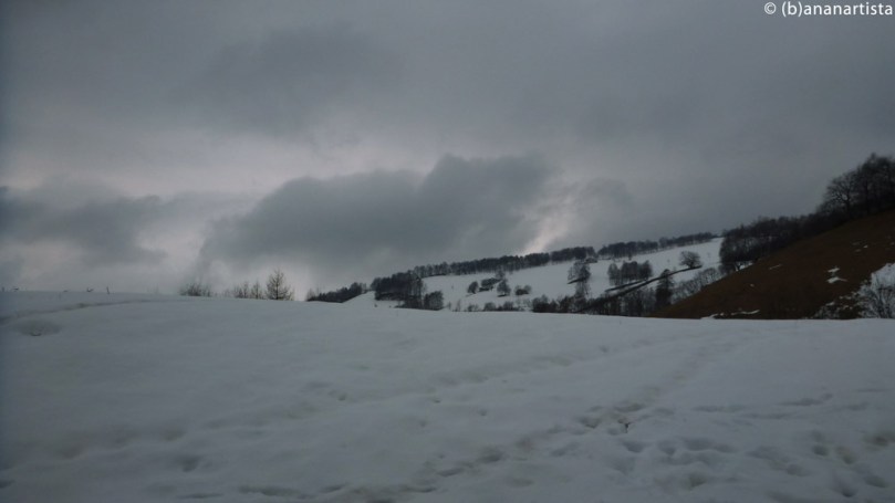 THE RISING OF A NEW REALM nature photography by (b)ananartista sbuff © 2016 all rights reserved