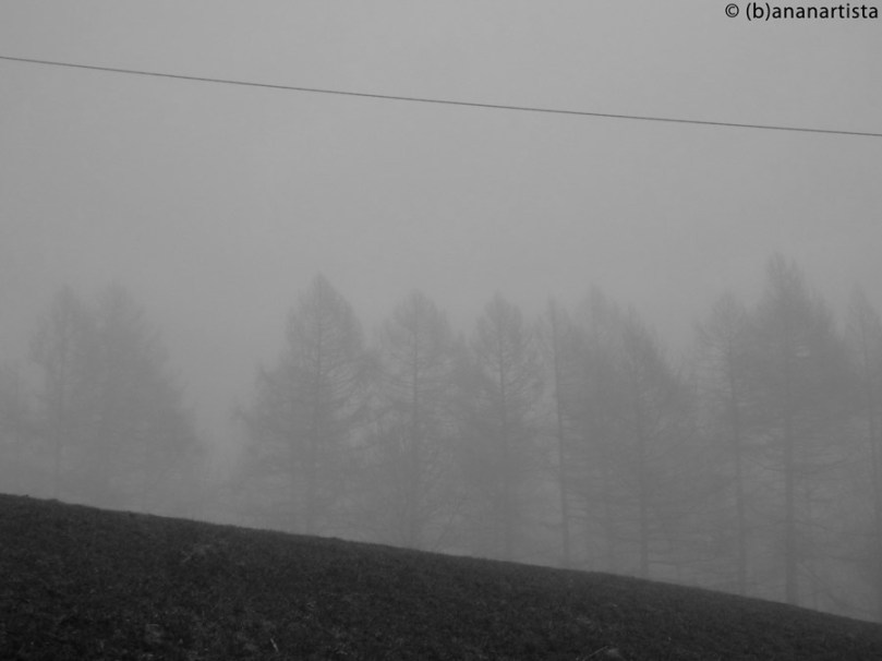 TRANSLUCENT WISPY SHAPE nature photography by (b)ananartista sbuff © 2016 all rights reserved