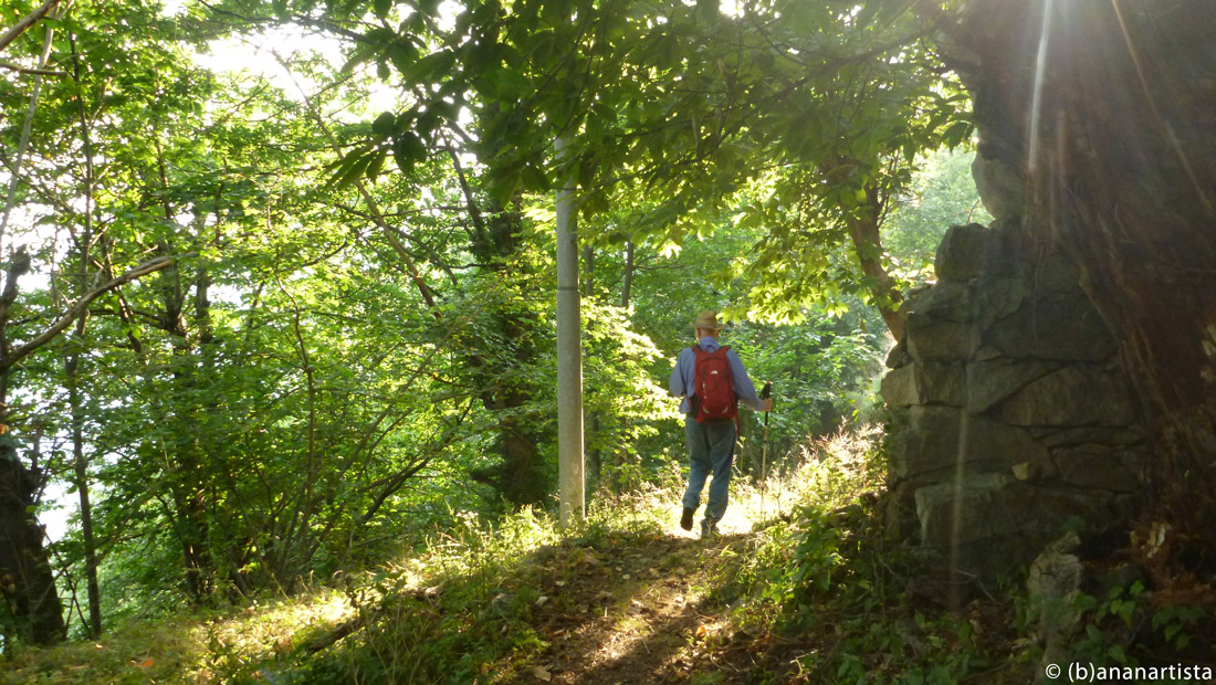 CARPE DIEM portrait landscape nature photography by (b)ananartista sbuff © 2016 all rights reserved