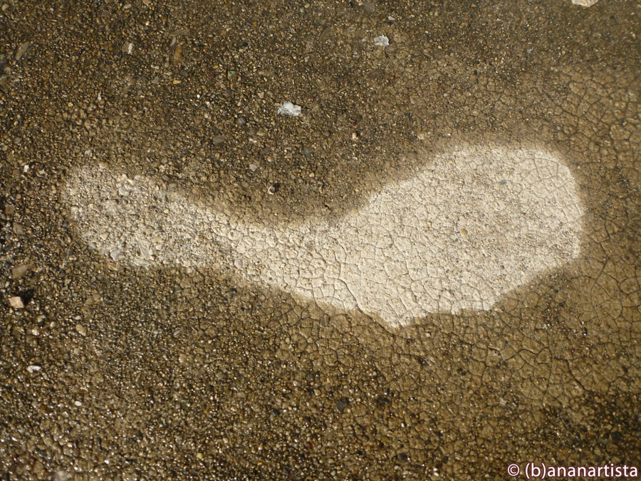 DRY ZONE nature photography by (b)ananartista sbuff © 2016 all rights reserved