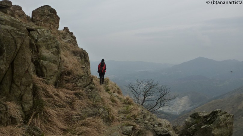 THE MURMUR OF THE VALLEY nature photography by (b)ananartista sbuff © 2016 all rights reserved