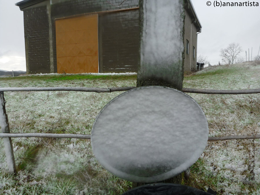 THE GREEN STRIP nature landscape photography by (b)ananartista sbuff © 2016 all rights reserved