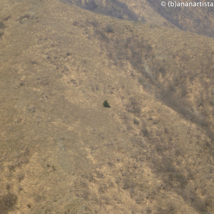 SOLITUDE landscape nature photography by (b)ananartista sbuff © 2016 all rights reserved