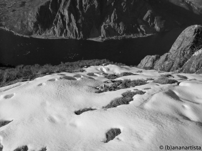 VIEW ON THE LAKE landscape nature photography by (b)ananartista sbuff © 2016 all rights reserved