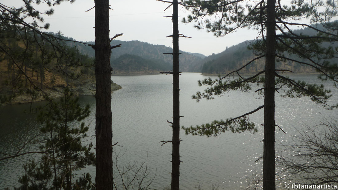 WHISPERING FREEDOM nature landscape photography by (b)ananartista sbuff © 2016 all rights reserved