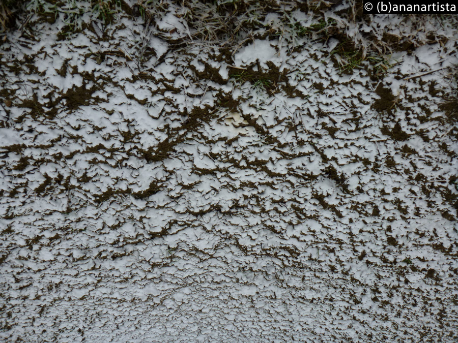 FRACTAL TUNNEL photography by (b)ananartista SBUFF 20016