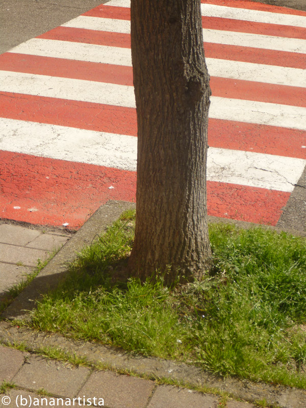 CROSSWALK photography by (b)ananartista sbuff © 2016 all rights reserved