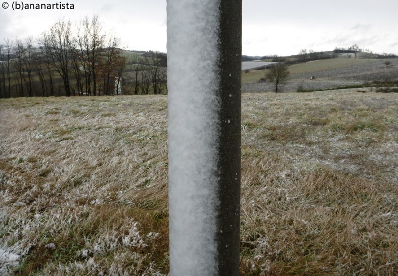 YIN AND YANG photography by (b)ananartista sbuff © 2016 all rights reserved