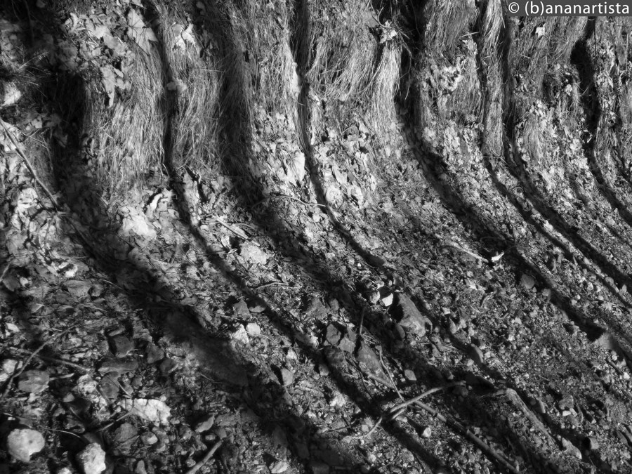 GEOMETRIC REACTION photography by (b)ananartista sbuff © 2016 all rights reserved