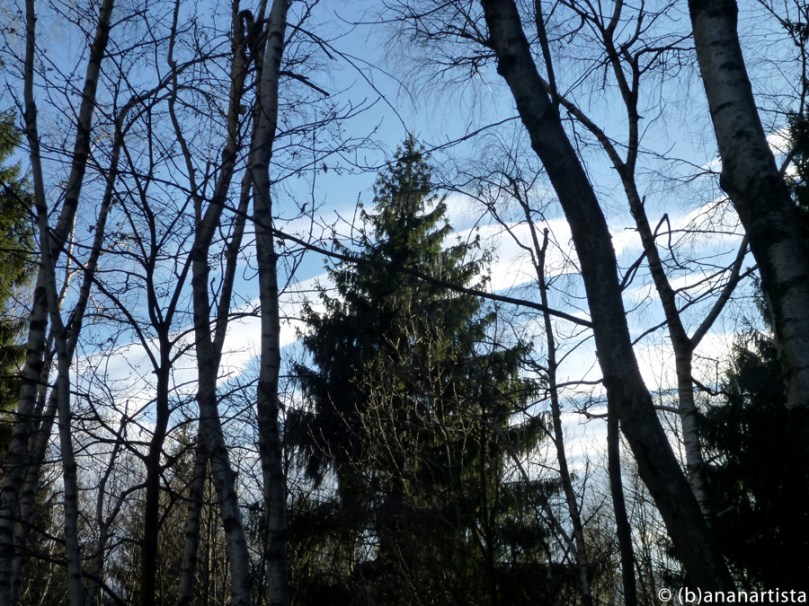 INTROSPECTION photography by (b)ananartista sbuff © 2016 all rights reserved