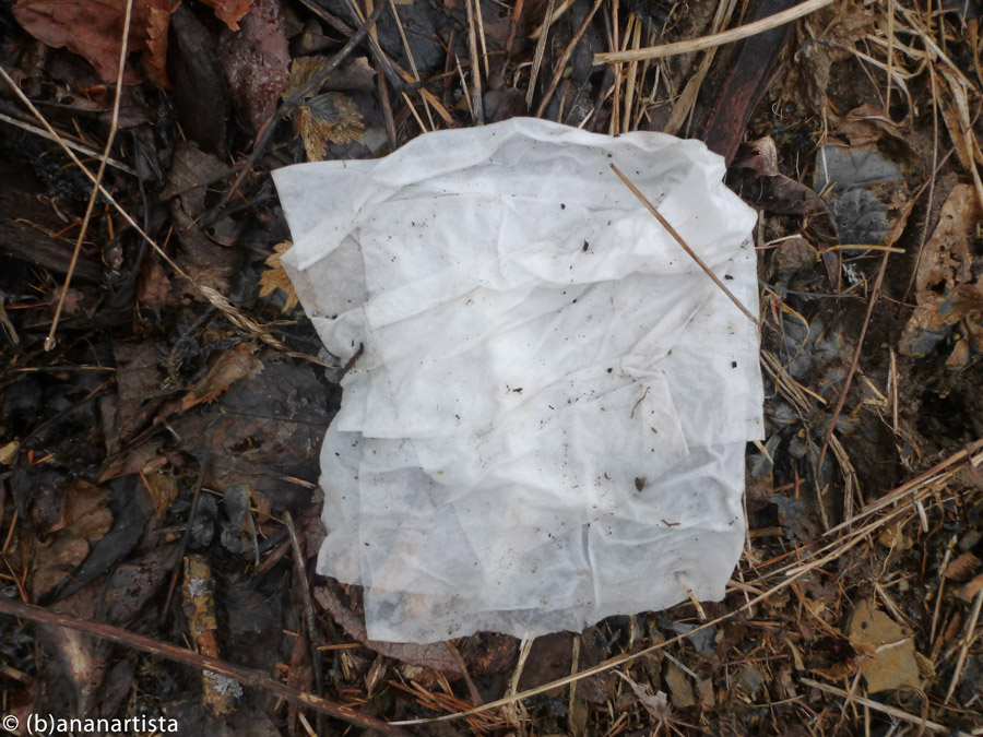 NOMENCLATURE OF A TISSUE photography by (b)ananartista sbuff © 2016 all rights reserved