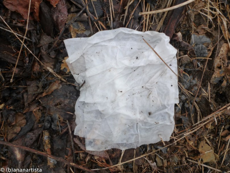 NOMENCLATURE OF A TISSUE photography by (b)ananartista sbuff © 2016 all rights reserved