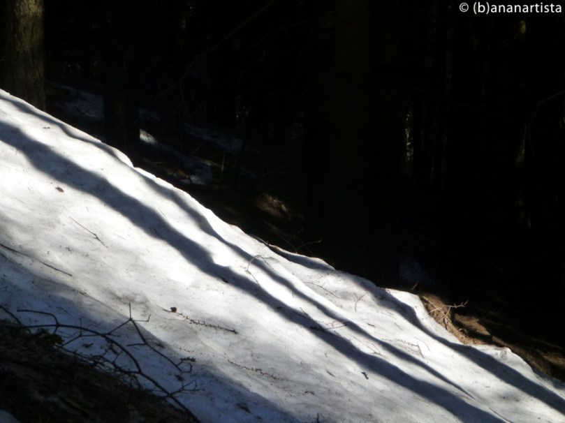 THE HEART OF THE EARTH photography by (b)ananartista sbuff © 2016 all rights reserved