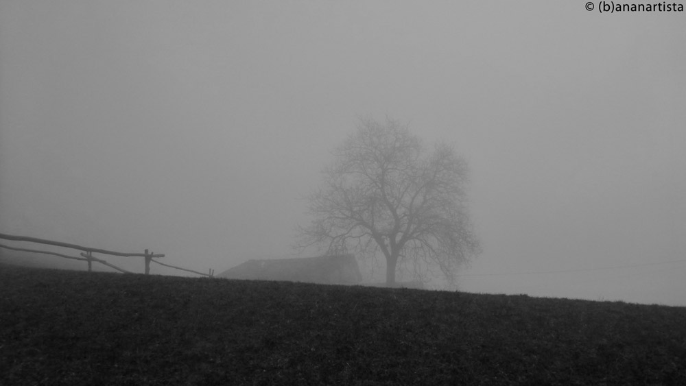 BURROW photography by (b)ananartista sbuff © 2016 all rights reserved