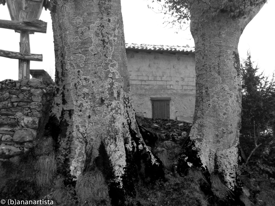 RELICS OF SAINTS photography by (b)ananartista sbuff © 2016 all rights reserved