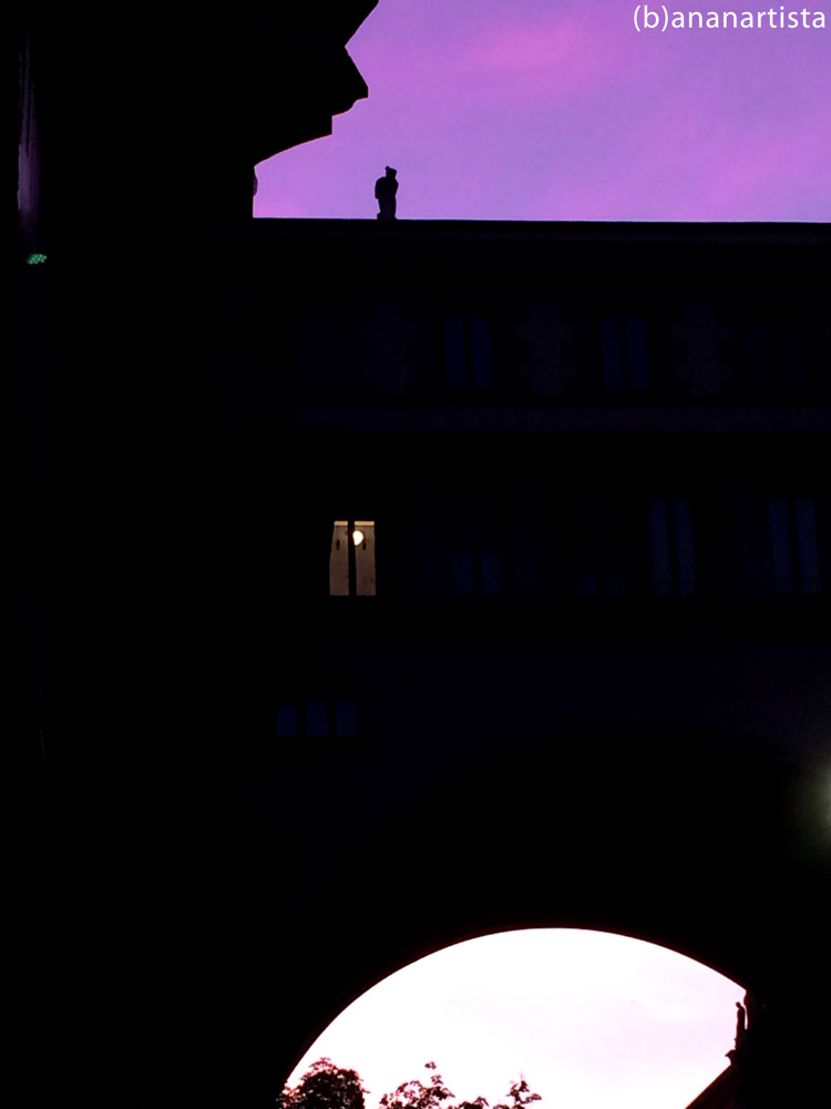 EROE SOLITARIO photography by (b)ananartista sbuff © 2016 all rights reserved